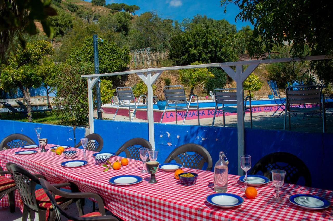 Bohemian Villa - Malaga Alora Dış mekan fotoğraf