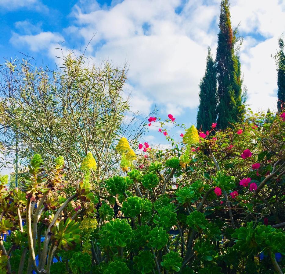 Bohemian Villa - Malaga Alora Dış mekan fotoğraf