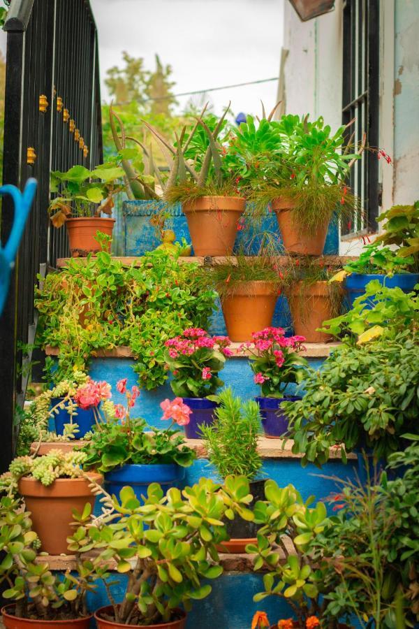 Bohemian Villa - Malaga Alora Dış mekan fotoğraf